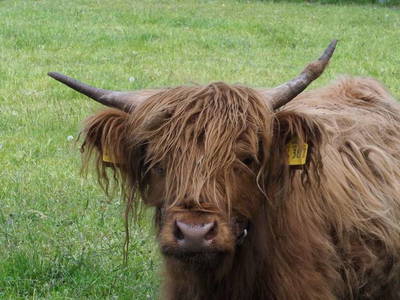 Bild 33 aus  Ferienhof Tödter