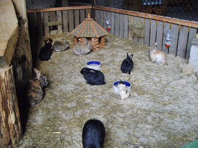 Bild 8 aus  Gut Grasbeck