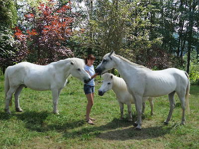 Bild 21 aus  Pension Kolbeck