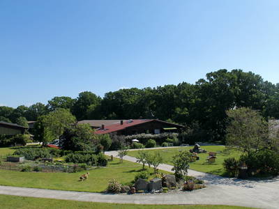 Bild 11 aus  Gut Sommereichen