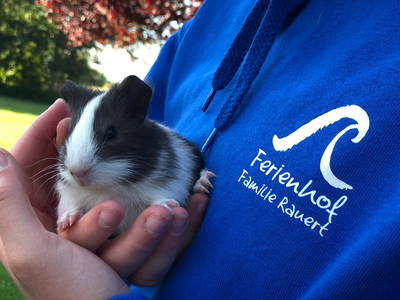 Bild 57 aus  Ferienhof Rauert