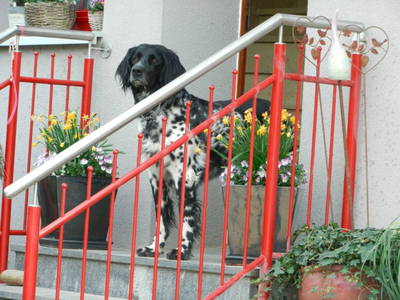 Bild 3 aus  Ferienbauernhof Am Hoersch