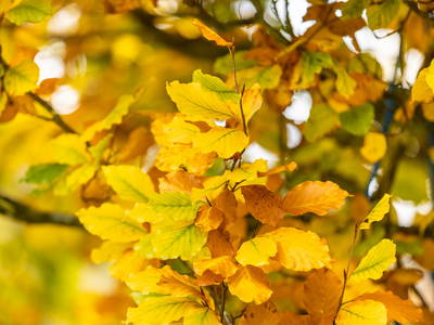 Bild 49 aus  Gut Neuwerk