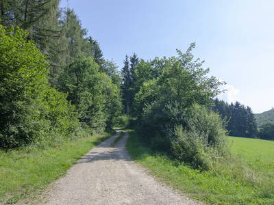 Bild 22 aus  Landurlaub im Sauerland auf dem Ferienhof Verse