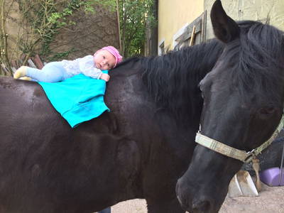 Bild 20 aus  Ferienhof Neudeck