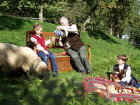 Bild 9 aus  Gasthof zum Grünen Baum