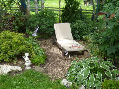 Bild 6 aus  Am Holderbusch