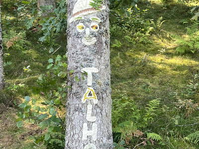 Bild 42 aus  Ferien am Talhof