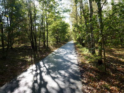 Radwege sind bald wieder so grün