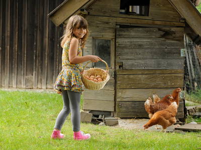 Bild 25 aus  LandSelection Hanznhof