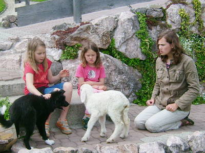 Bild 11 aus  Dammerer Hof