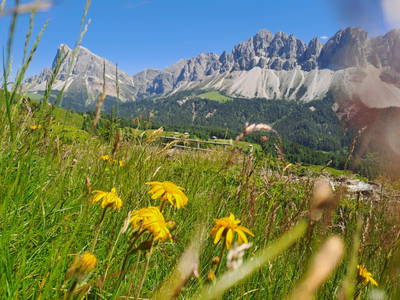 Bild 52 aus  Mountain Residence Alpenhof***