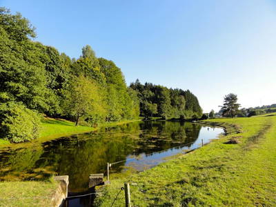 Bild 14 aus  Siefertshof