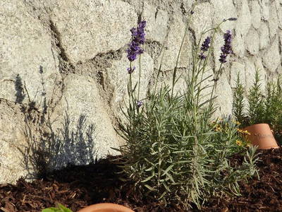 Bild 10 aus  Ederhof