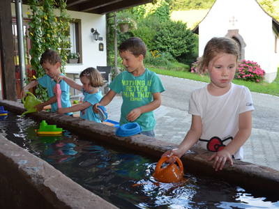 Bild 22 aus  Vogtbenedikthof im Schwarzwald