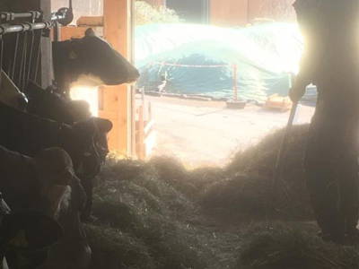 Bild 42 aus  Hofgut Schleinsee  - idyllisch am eigenen See