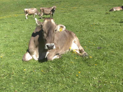 Bild 27 aus  Ferienhof Rasch