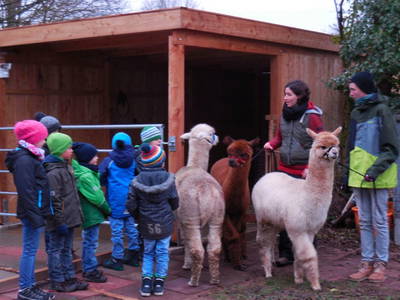 Bild 11 aus  Mainbaumhaus