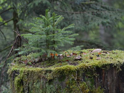 Bild 9 aus  Gutshof Armbruster