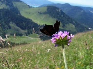 Bild 17 aus  Oberleitenhof