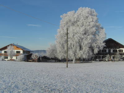 Bild 25 aus  Geigerhof