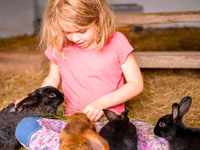 Kaninchen bewundern, streicheln und füttern.
