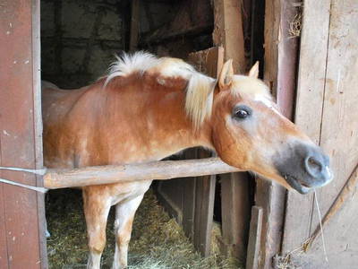 Bild 2 aus  Georgshof