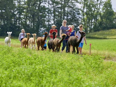 Bild 3 aus  LandSelection Staller Ferienhof
