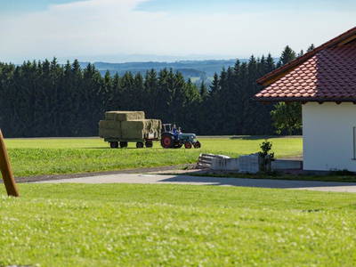 Bild 62 aus  Allgäu Bergferienhof