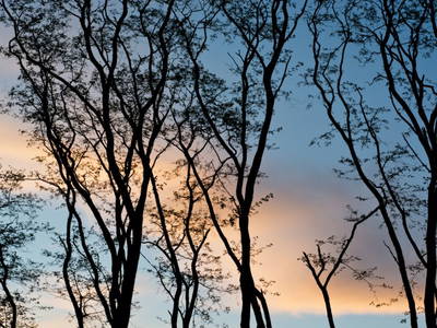 Bild 46 aus  Biber Ferienhof