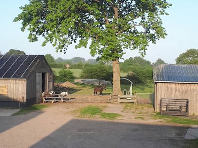 Bild 27 aus  Ferienhof Sell Bauernhofurlaub Ostsee Ponys