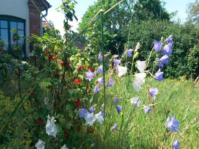 Bild 4 aus  Ferienhaus Landlust