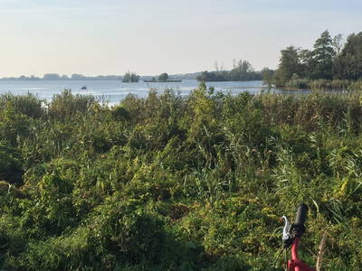 Unsere Havel bei Ketzin - unberührte Natur