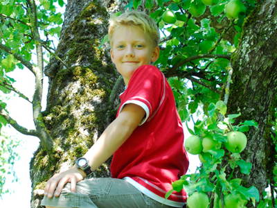 Bild 14 aus  Ferienhof Burghöfe