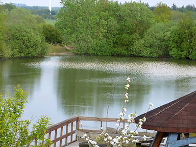 Bild 9 aus  Carstens Ferienhof