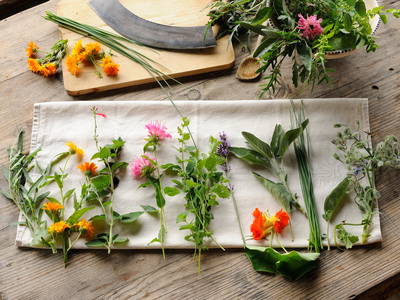 Kräuter am Daxlberger Hof