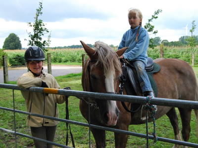 Bild 9 aus  Gutshof Schulze Althoff