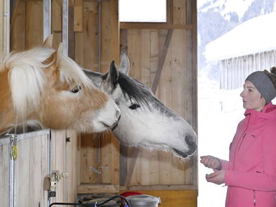 Bild 55 aus  Haus Bergquell mit Pferdestall