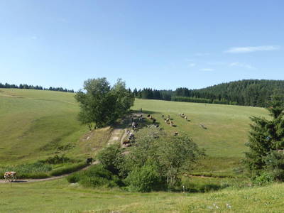 Bild 15 aus  Ferienhäuser Gerber