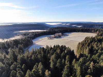 Bild 13 aus  Gutshof Armbruster