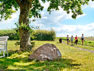 Bild 50 aus  Sonis kleine Farm Grömitz