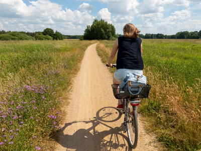 Bild 22 aus  Ferienwohnungen Harriersand direkt an der Weser