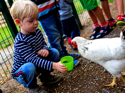 Bild 13 aus Büdl'farm - Der Familien-Erlebnishof