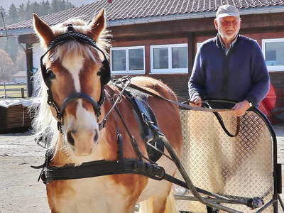 Bild 23 aus  Augustinerhof