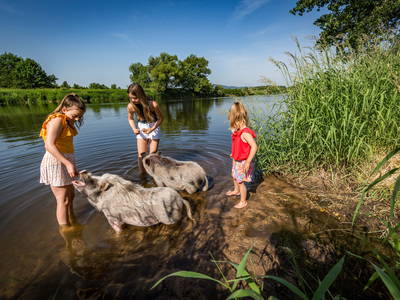 Foto von Oberpfälzer Wald