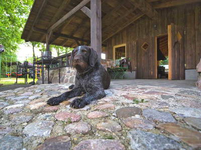 Bild 32 aus  LandSelection Drewes-Hof