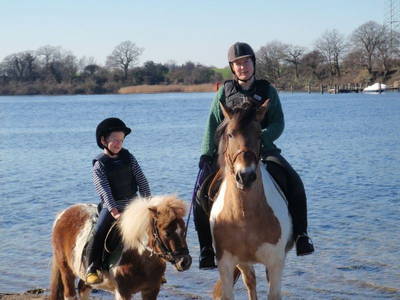 Bild 11 aus  Ferienhof Siemen