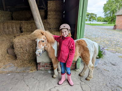 Jetzt werden die Ponys geputzt