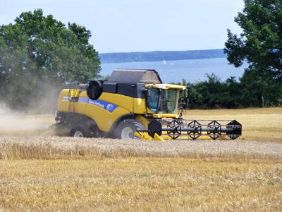 Bild 21 aus  Müritz-Hof Knust