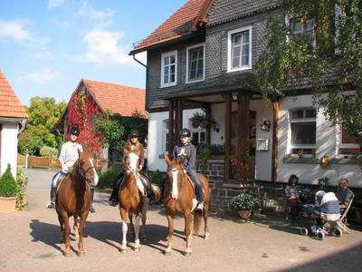 Bild 3 aus  kinderfreundlicher Familienbauerhof